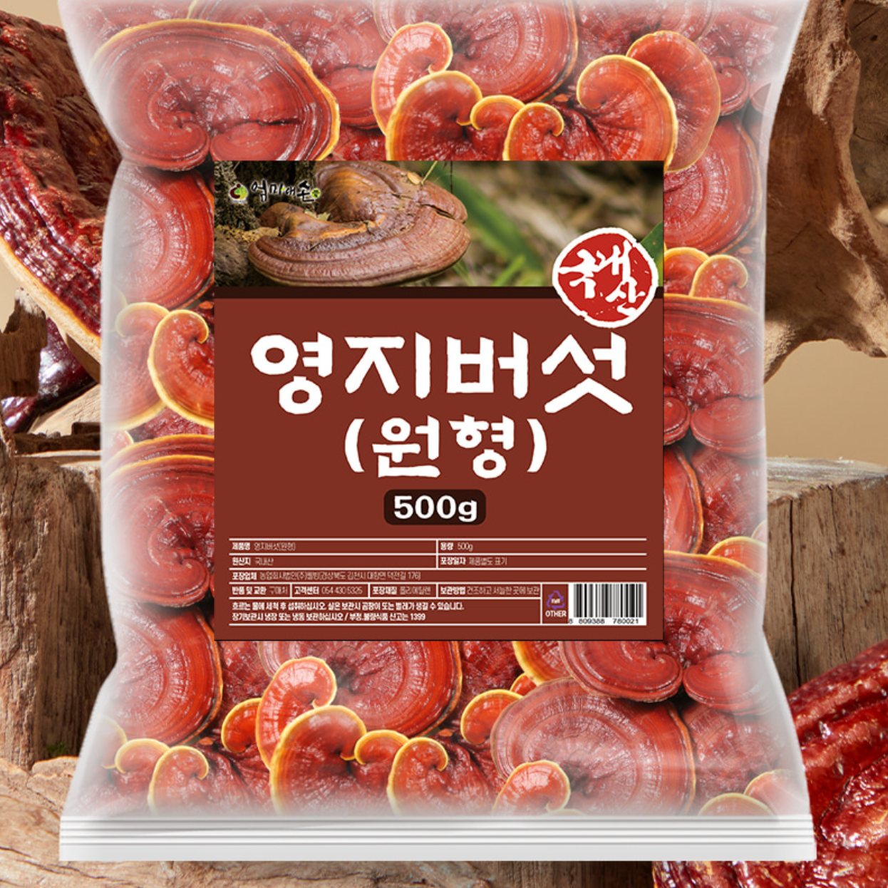 국산 영지버섯 효능 통영지 국내산 자연산 영지버섯 500g - 상세 이미지 4