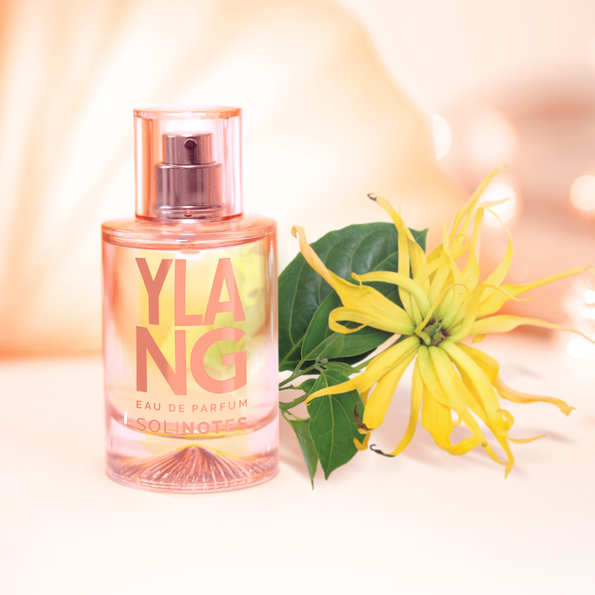 솔리노트 일랑일랑 50ml 오 드 퍼퓸 EDP 남성향수 여성향수 - 상세 이미지 5