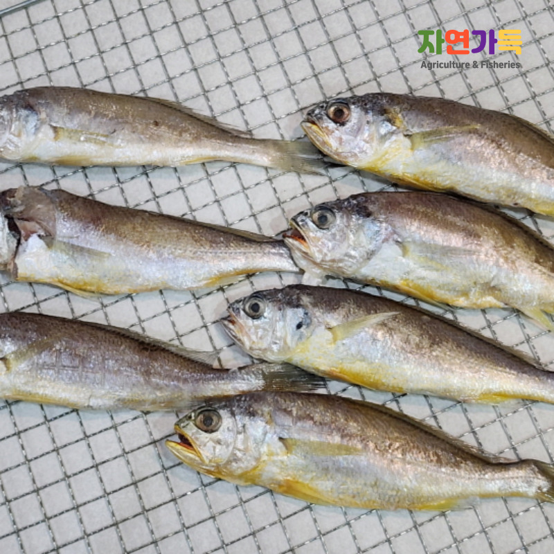 영광굴비 조기굴비 1kg 11~21미 내외 - 상품 이미지