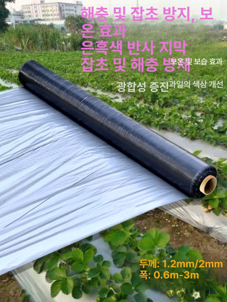 과수용 필름 덮개 자재 농업용 멀칭 과일 비닐하우스 반사 비닐 구멍 온실 2.5kg 1.2실버블랙 0.6m - 상세 이미지 2