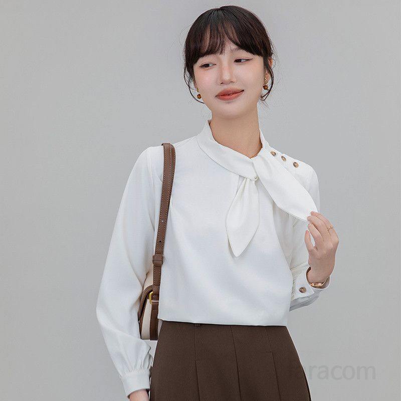 레이스 블라우스 여성 긴팔 루즈핏 봄 가을 데일리 고급스러운 스타일 편안한 착용감 블라우스 쇼핑몰 하객룩 코디너리 시스루 디자인 - 상품 이미지