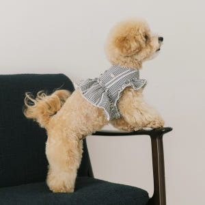 강아지 하네스옷 가슴줄 소형견 하네스 하이디 솔직 후기 | 실제 사용자 리뷰 총정리 - 상품 이미지 3