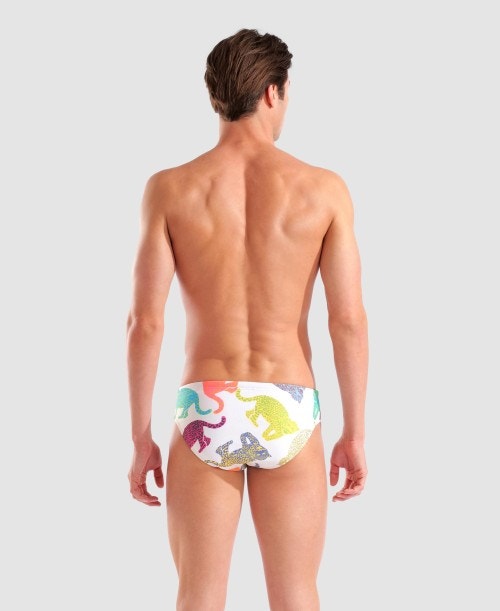 아레나 In The Wild Swimming Brief - 상세 이미지 5