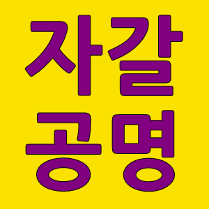 자갈공명 스토어 로고
