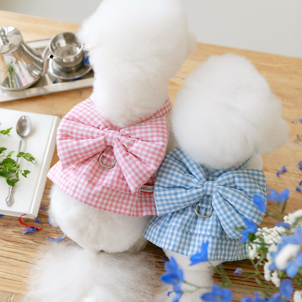 강아지 하네스옷 소형견 하네스 가슴줄 리보네