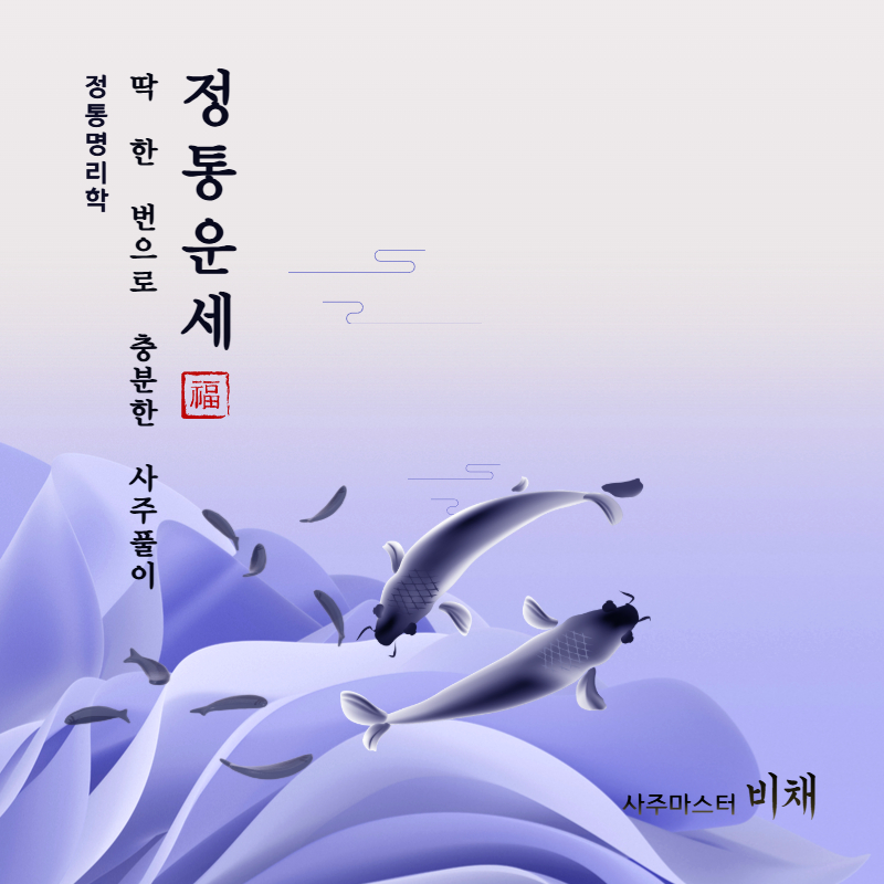 꽃선비사주 정통사주 종합운세 신년운세 금전운 연애운 재회운 재물운 PDF제공 - 상세 이미지 4