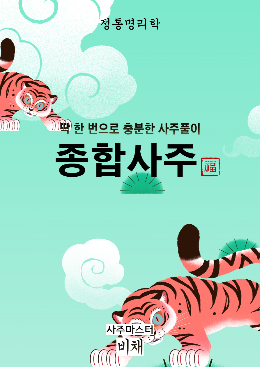 꽃선비사주 정통사주 종합운세 신년운세 금전운 연애운 재회운 재물운 PDF제공 이미지 8