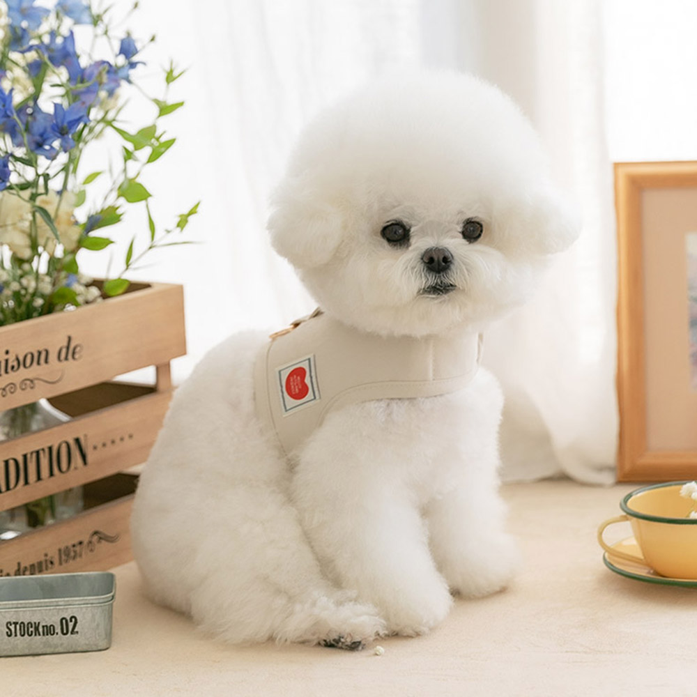 강아지 하네스옷 소형견 하네스 가슴줄 누베어