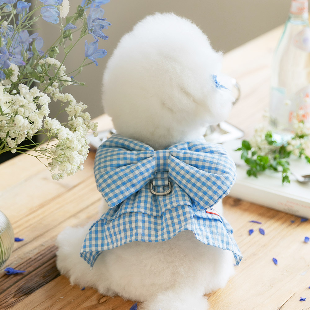 강아지 하네스옷 소형견 하네스 가슴줄 리보네