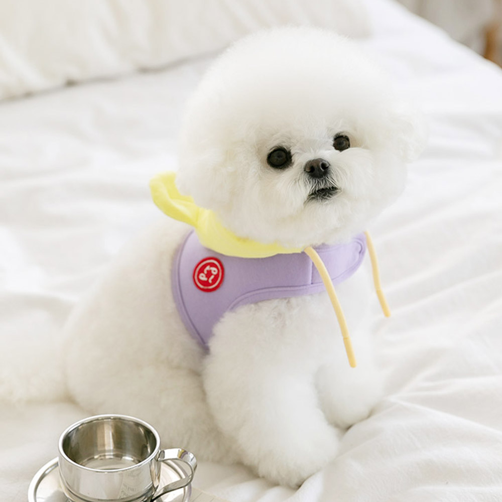 강아지 하네스옷 소형견 하네스 가슴줄 베어후드