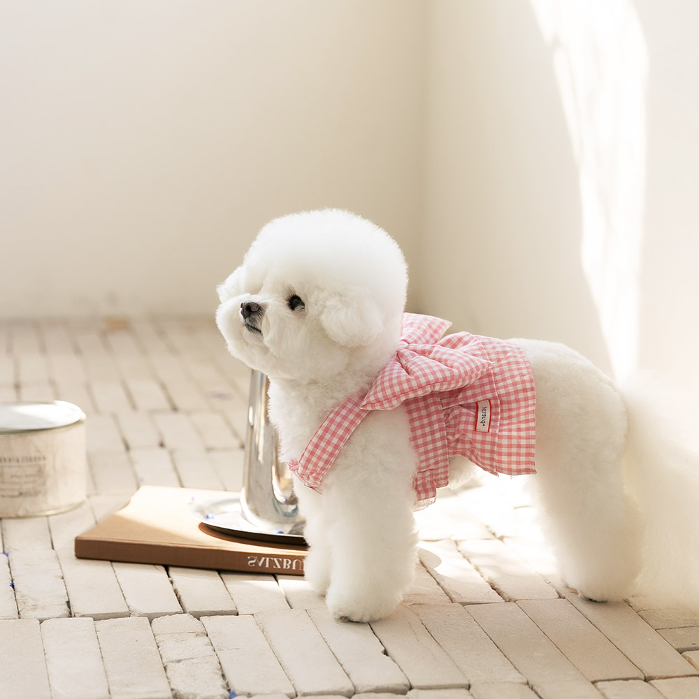 강아지 하네스옷 소형견 하네스 가슴줄 리보네