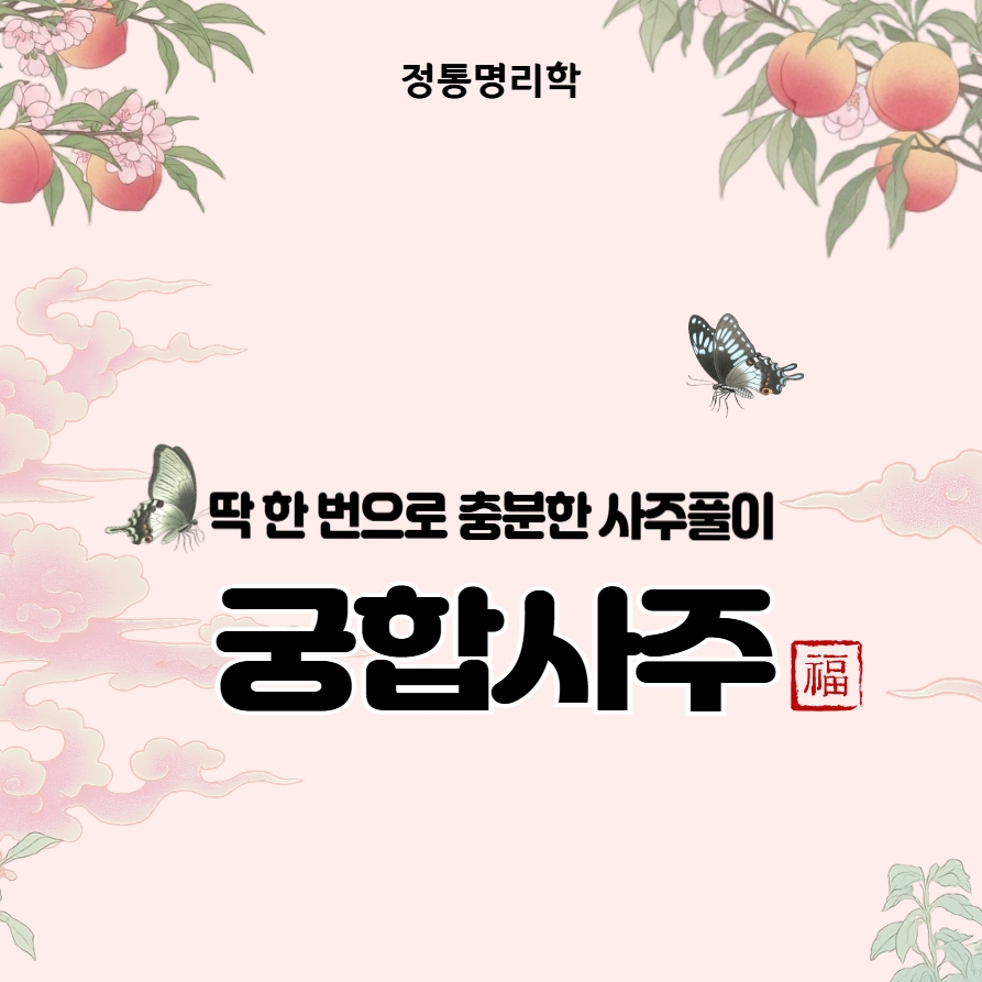 꽃선비사주 전통궁합 궁합사주 재회 PDF제공 이미지 6