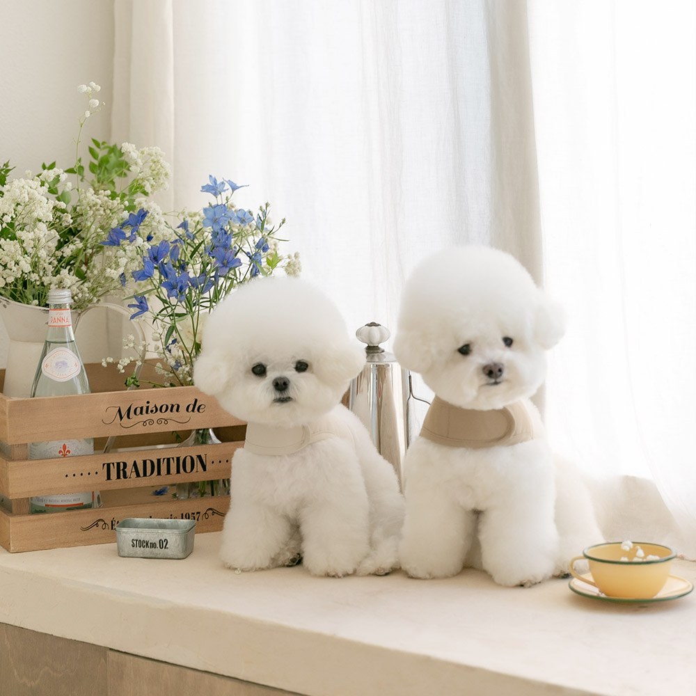 강아지 하네스옷 소형견 하네스 가슴줄 누베어