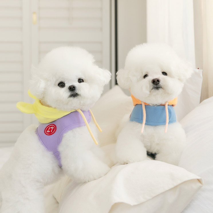 강아지 하네스옷 소형견 하네스 가슴줄 베어후드