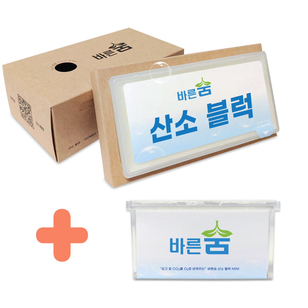 바른숨 산소 키트, 휴대용 가정용 산소캔 산소발생기 공기 호흡기 케어 유해가스 제거까지 - 상세 이미지 5