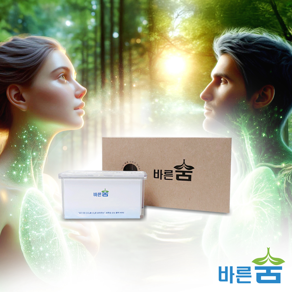 바른숨 산소 키트, 휴대용 가정용 산소캔 산소발생기 공기 호흡기 케어 유해가스 제거까지 - 상세 이미지 4