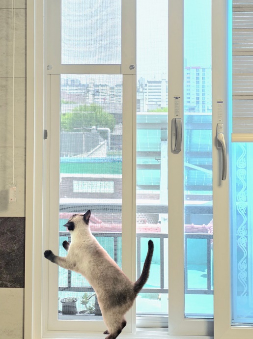 고양이 강아지 방묘창 추락방지 안전방충망 0.4MM  높이조절 900-1200