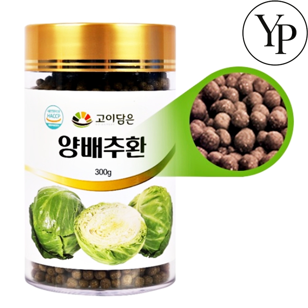 양배추환 역류성식도염 양배추 정 알약 300g