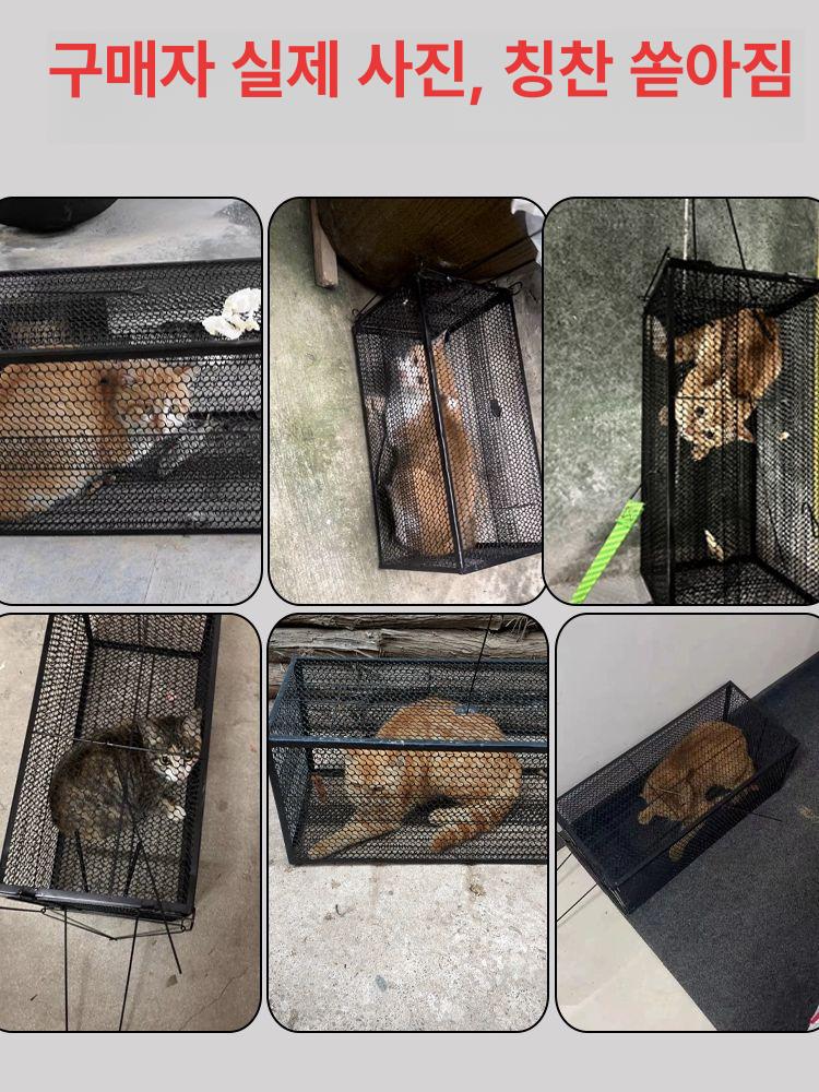 포획틀 고양이 트랩 구조망 산짐승 야생동물 철장 포획망 중형 3호 고양이 0.5-2.0kg L-대형 - 상세 이미지 3