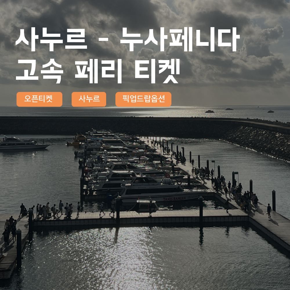 [발리] 즉시확정 사누르 누사페니다 고속 페리 스피드보트 티켓