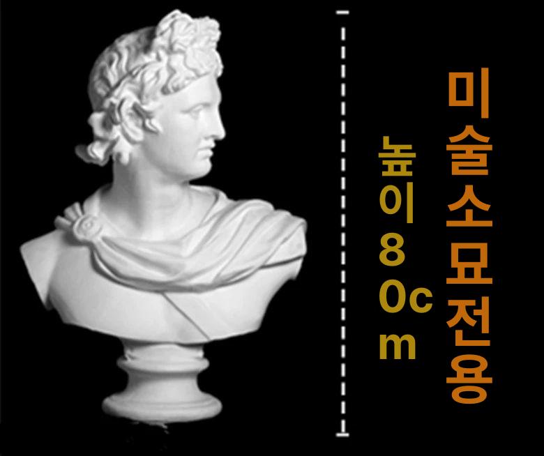 아폴로 석고상 인테리어 다비드 장식용 중세 촬영 아르테미스 빈티지 석고 단일 항목 - 상세 이미지 2