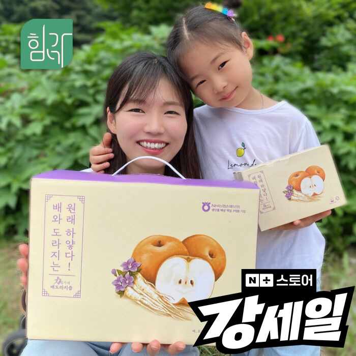 힘가네 도라지배즙 1박스(80ml x 40개입)