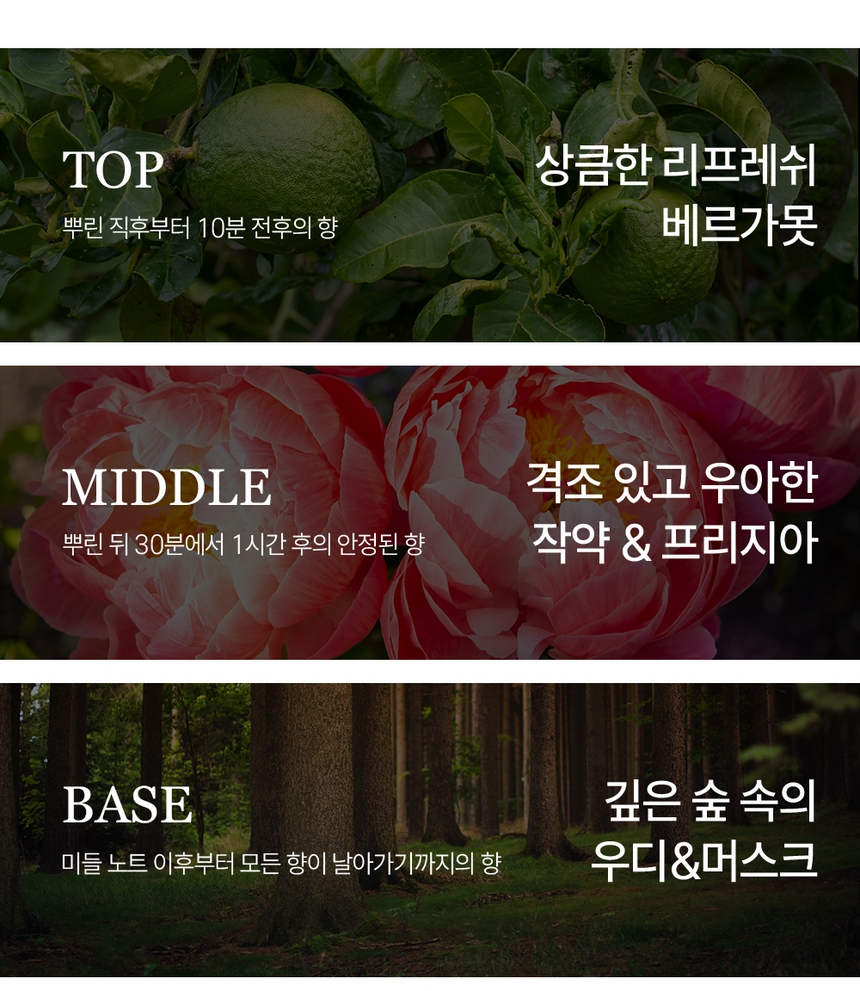 케이니치 향수 로멘틱브리즈, 100ml, 1개 - 상세 이미지 5