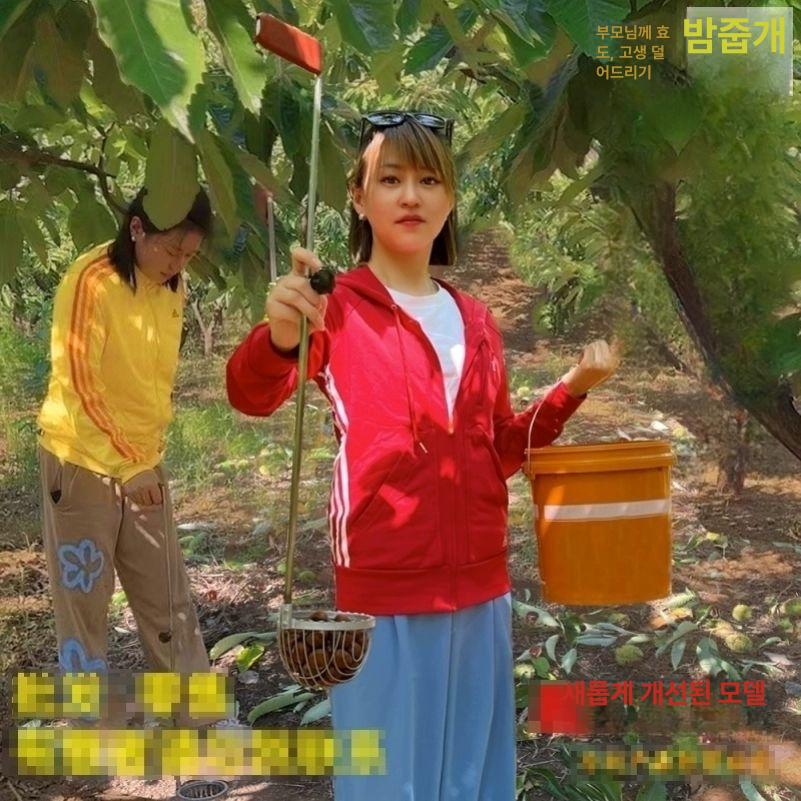 밤줍기 농업용 밤줍는도구 수집기 집게 픽업 밤줍는 막대 5세대 버전 두꺼운 밤줍기기 밤 손상 - 상세 이미지 4