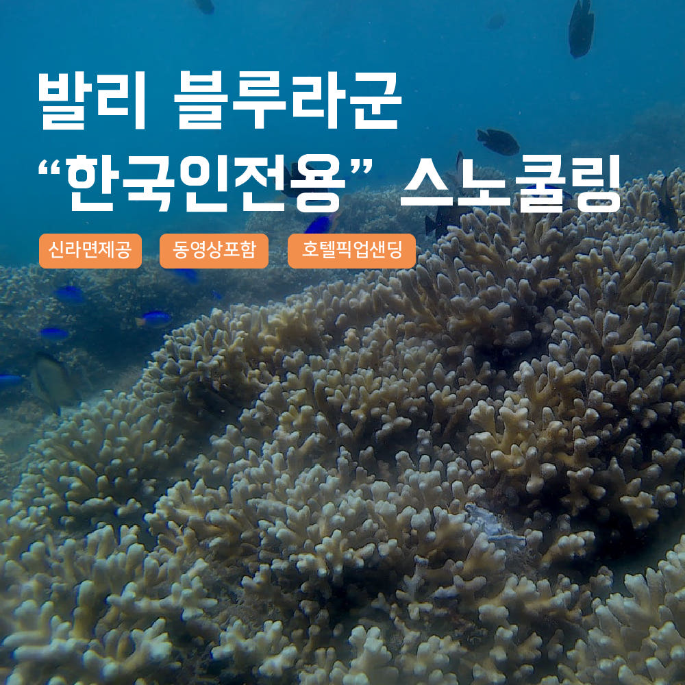 발리 블루라군 스노쿨링 고프로 촬영 픽업드랍 해양 수상 액티비티 체험 가격 비교 사마사마 발리 발리 블루라군 스노쿨링 고프로 촬영 픽업드랍 해양 수상 액티비티 체험