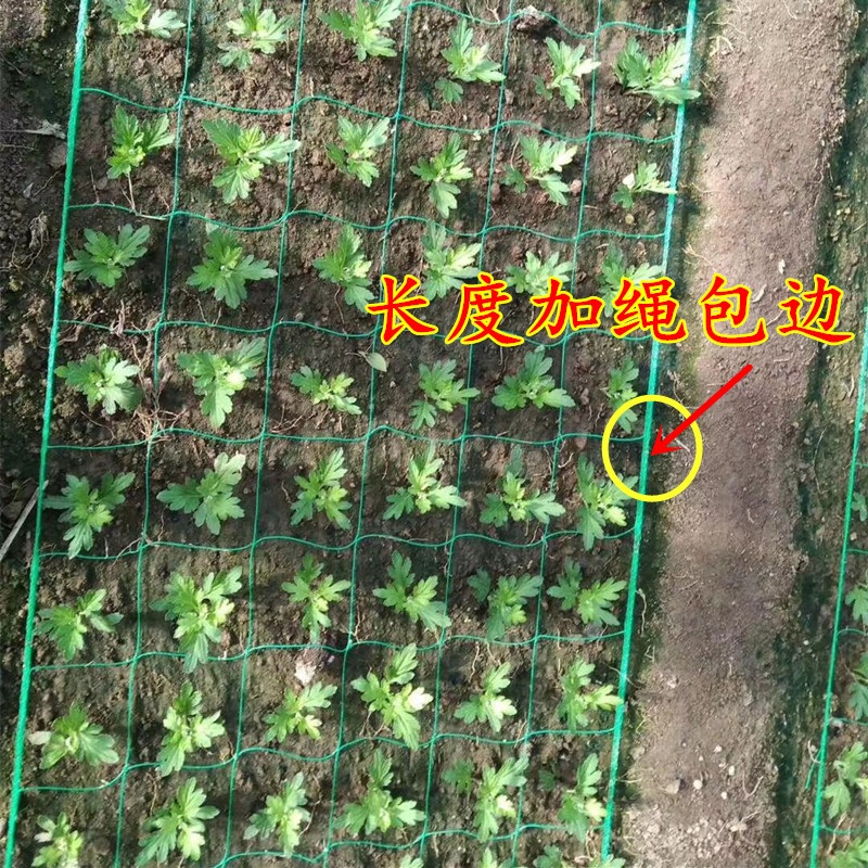 텃밭용 고추망 절화망 화훼네트 격자망 그물망 메쉬 구멍 - 상세 이미지 5