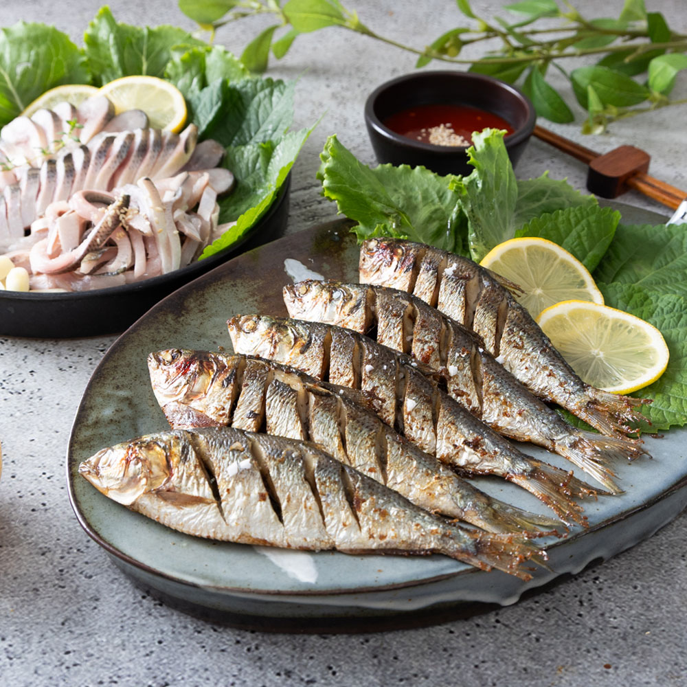 국내산 서천 자연산 전어회 전어구이 횟감 세꼬시 구이용 활 손질