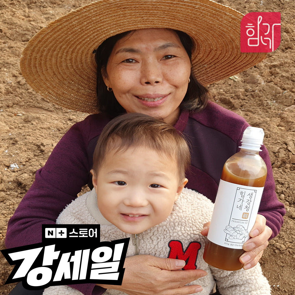 힘가네 생강청 생강차 수제 600g