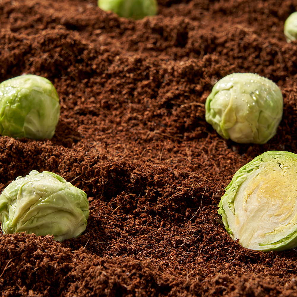 튼튼맘스 닥터캐비지 비건 양배추 가슴팩 (20매) 대용량