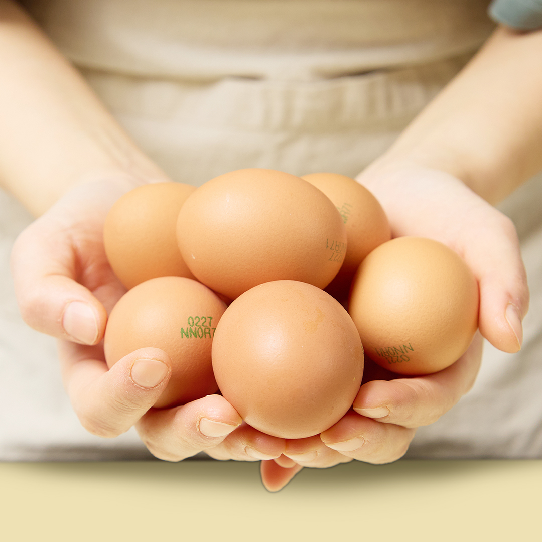 난각번호1번 유정란 무항생제 계란 20구