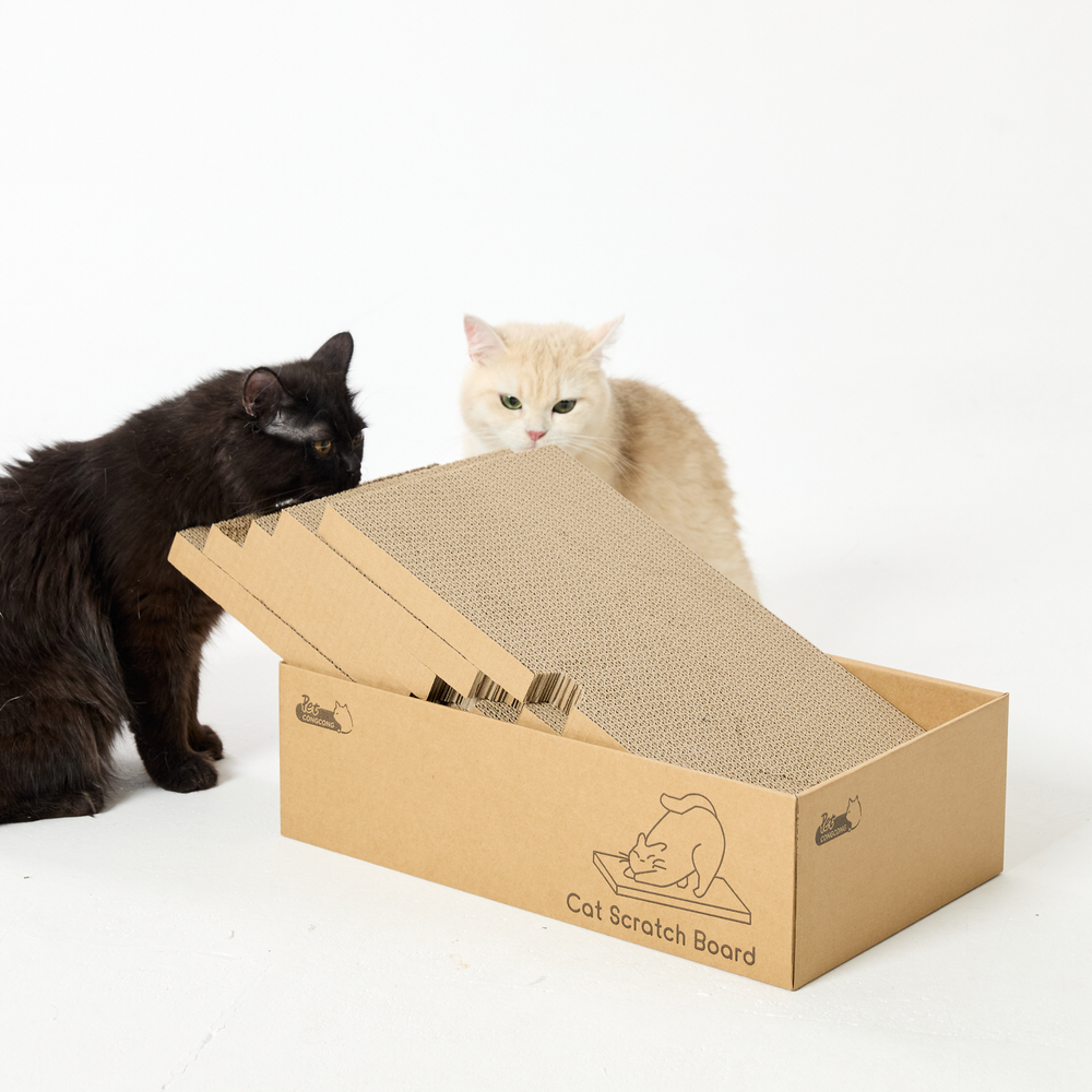 아이펫스맘 고양이 스크래쳐 박스 5PC 세트 평판 숨숨집 제품 이미지