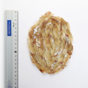 [쥐치 92%] 삼천포 국내가공 쥐치포 두꺼운쥐포 쥐포튀김 어포 혼술안주... 맛있게 먹은 솔직 후기 - 상품 이미지 4
