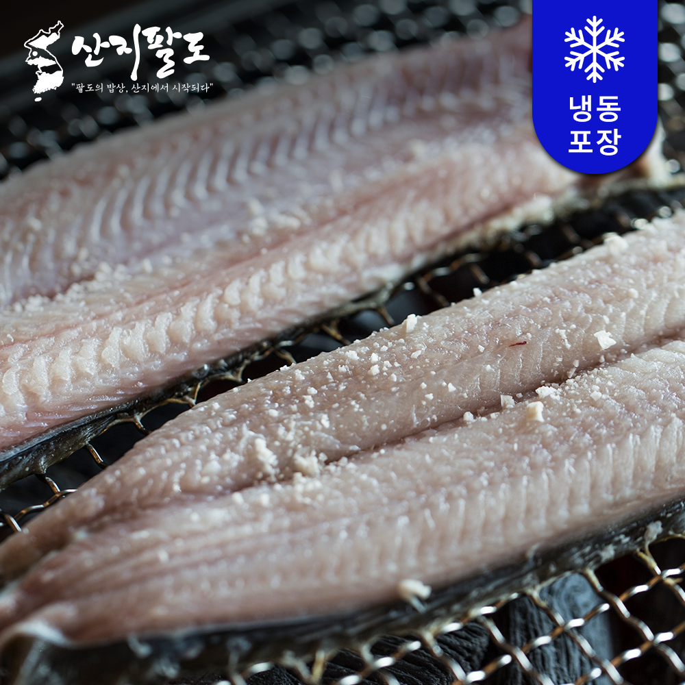바다장어 아나고 생물장어 산지직송 신선한 손질장어 구이용 탕용 1kg 2kg