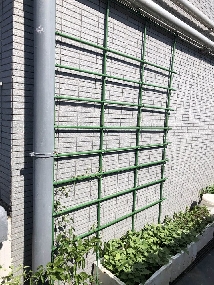 텃밭 오이지지대 식물 넝쿨 고추 화초 화분 작물 파이프 랙 포도 인기 직경 11mm 180cm 10개 - 상세 이미지 5