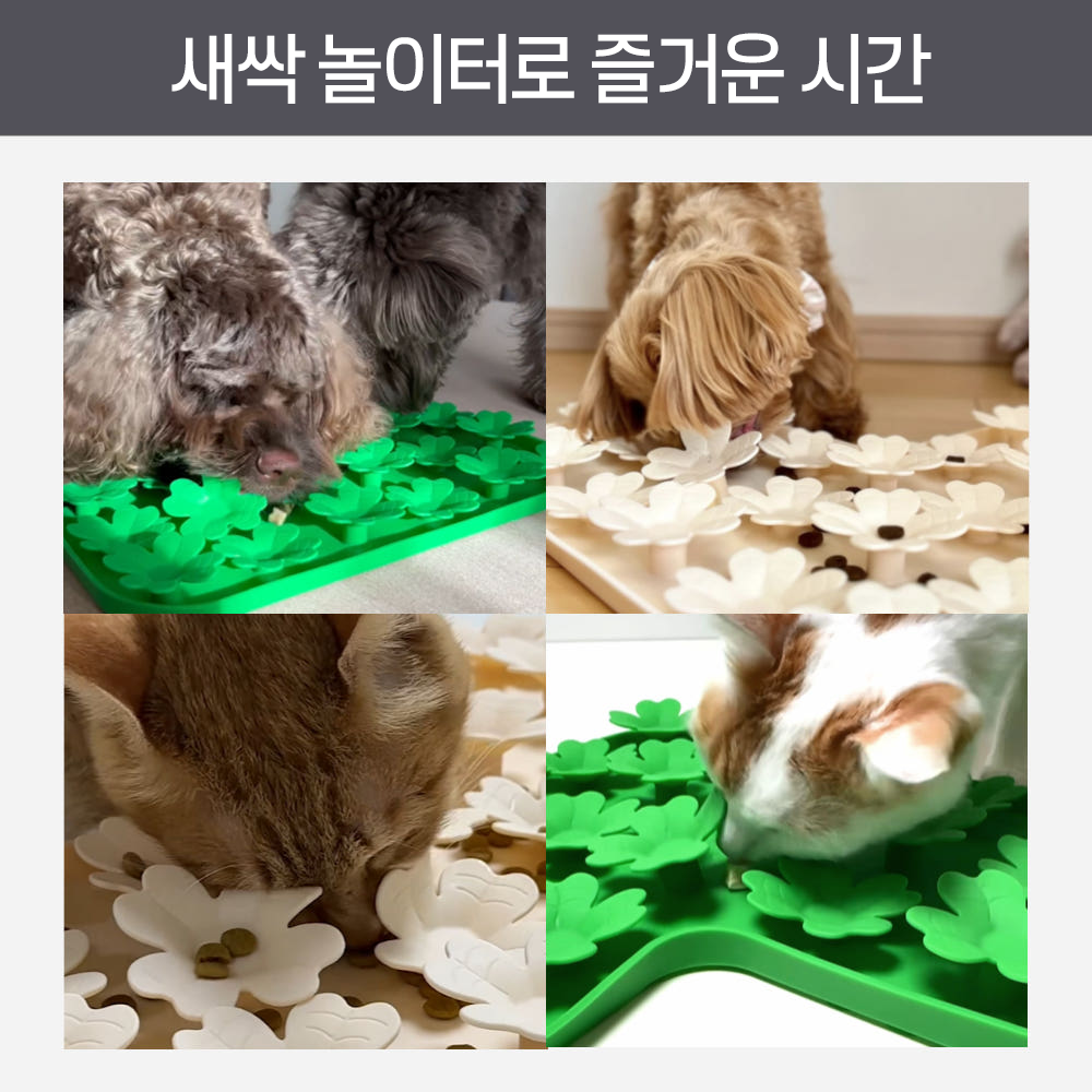 펫팀 강아지 고양이 노즈워크 매트 장난감 분리불안 스너플매트 실리콘