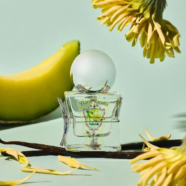 [별모양 미니 향수]  일랑 바닐라  Eau de Parfum  (15ml) 스텔리아스텔라 니치향수 - 상세 이미지 5