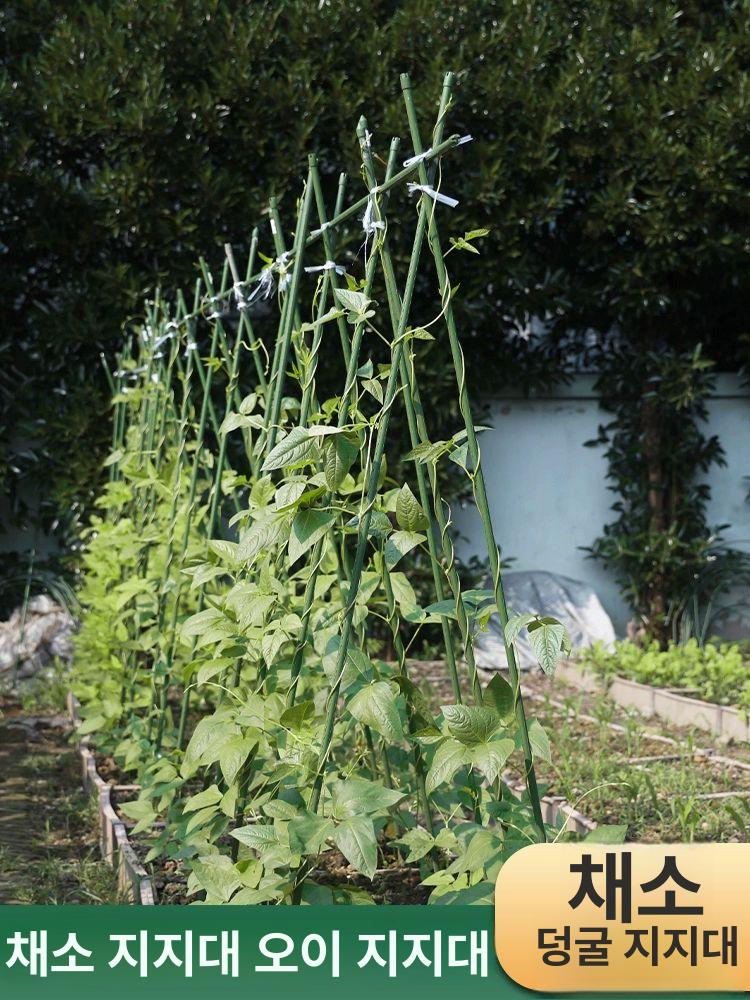 텃밭 오이지지대 식물 넝쿨 고추 화초 화분 작물 파이프 랙 포도 인기 직경 11mm 180cm 10개 - 상세 이미지 2