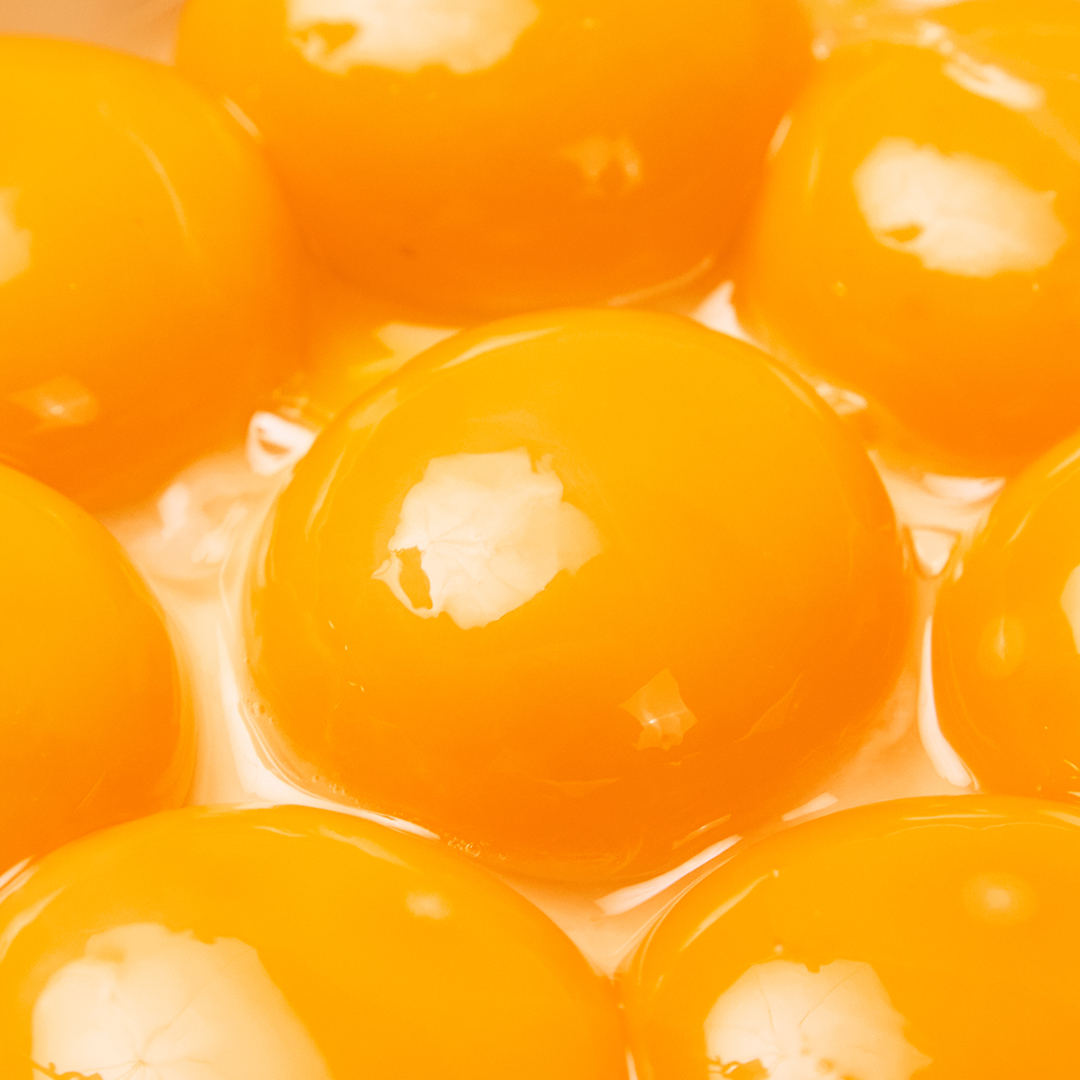 난각번호1번 유정란 무항생제 계란 20구