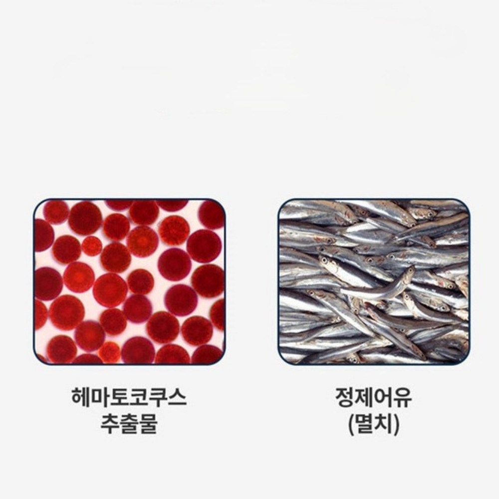 닥터브라이언 빌베리 루테인 비타민A 안압 침침할때 눈 올인원 약2달 60캡슐, 3개 - 상세 이미지 5