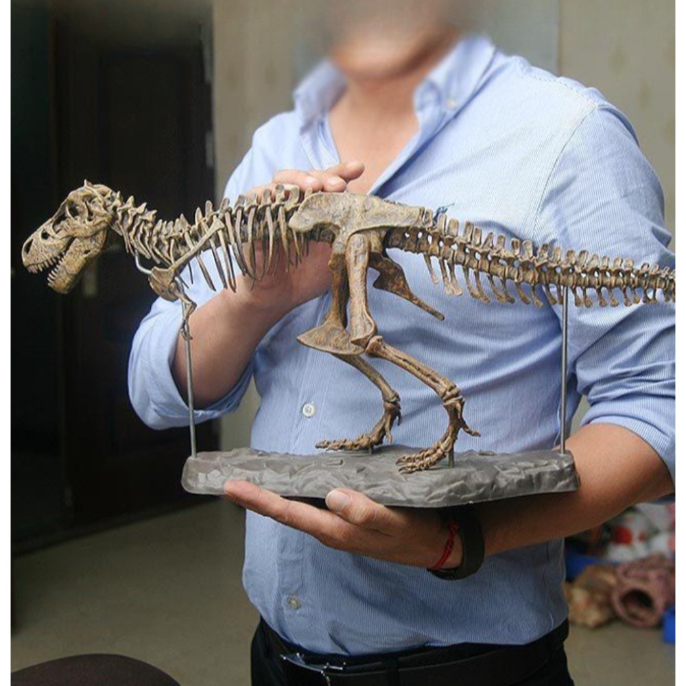 대형 공룡 장난감 동물 뼈 티라노사우루스 에듀케이셔널 시뮬레이션 단품 - 메인 이미지