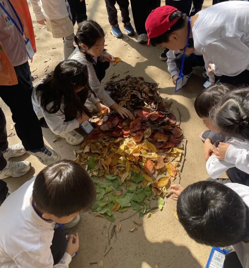 [프라이빗] 반가워숲학교 우리만의 특별한 숲체험 by 반가워숲학교 - 상세 이미지 5