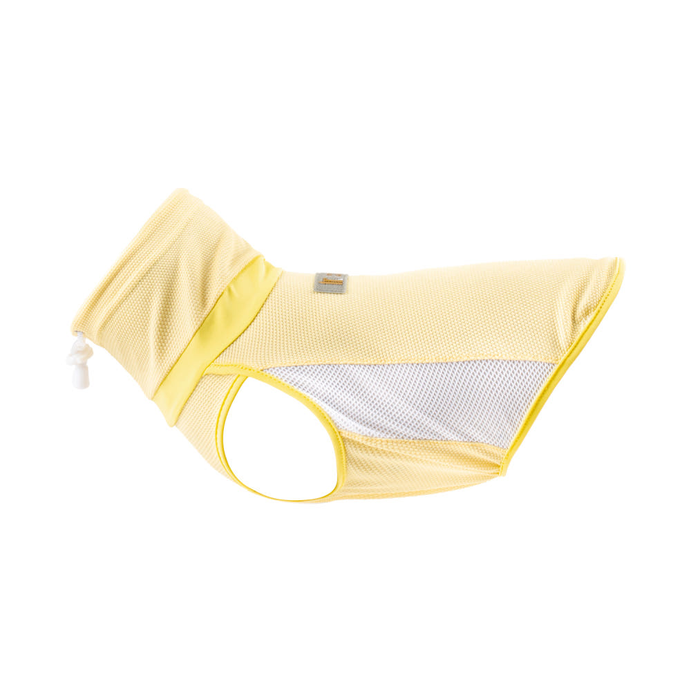 강아지가 입고 있는 인터라켄 쿨조끼 모습