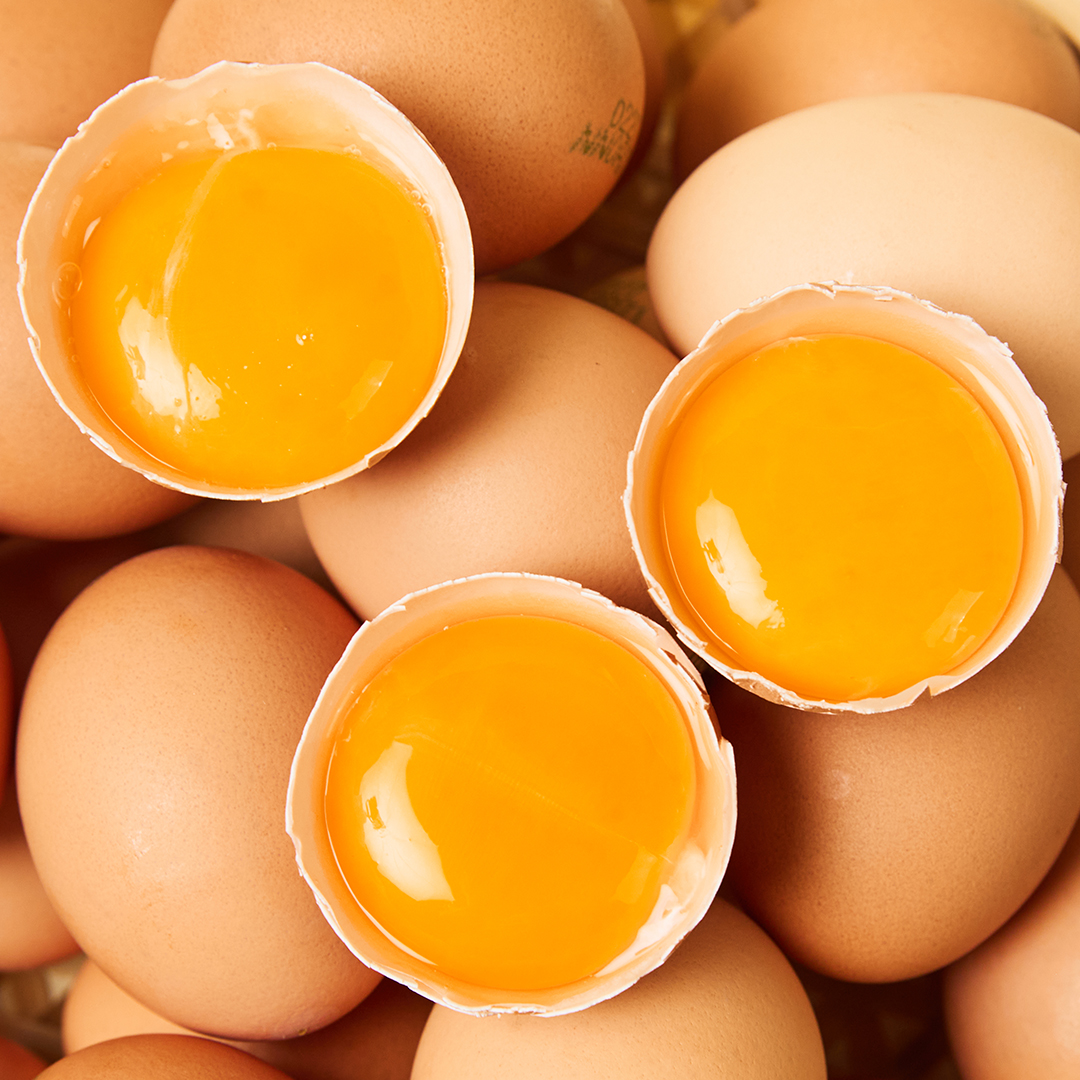 난각번호1번 유정란 무항생제 계란 20구