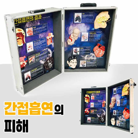 간접흡연의 피해 (금연교육 교보재)