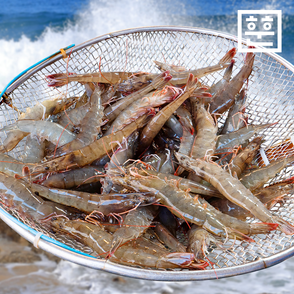 국내산 제철 흰다리새우 (활새우 급냉새우 생새우)