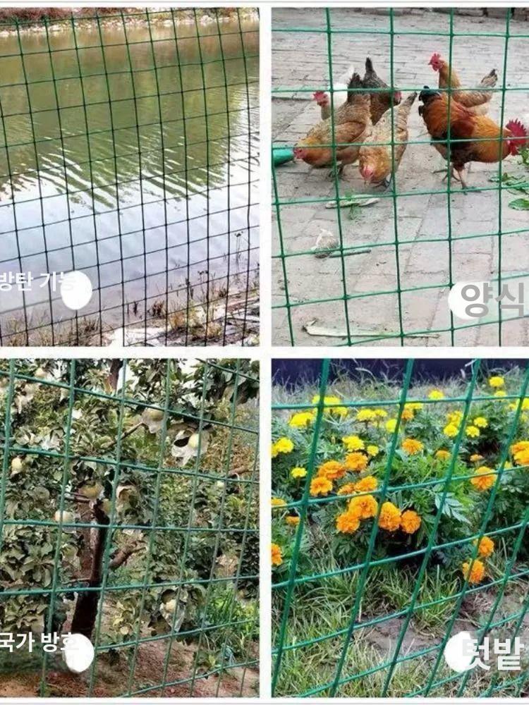 철망울타리 멧돼지 꿩 닭장 메쉬 염소망 펜스 휀스 닭장망 축사 철조망 높이 1.8m 구멍 3cm 길이 18m - 상세 이미지 3